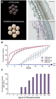 Physical seed dormancy in pea is genetically separable from seed coat thickness and roughness